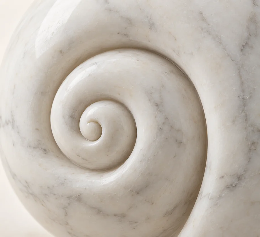 Marble Spiral Shell Display Object — close view of the tight centre of the shell spiral
